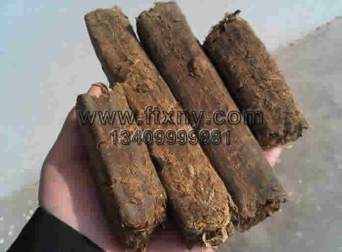 ���׽ն��K�������|(zh��)�w��ȼ��