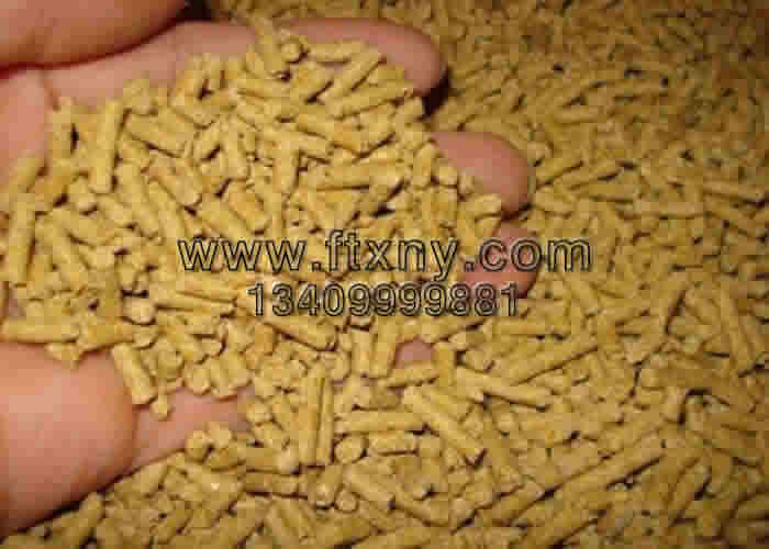 �ӵ��w�����