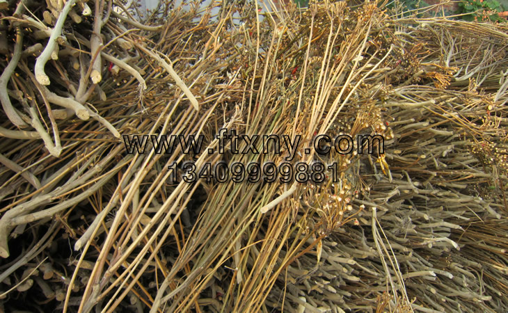 �����ն��w��ȼ�����aԭ��