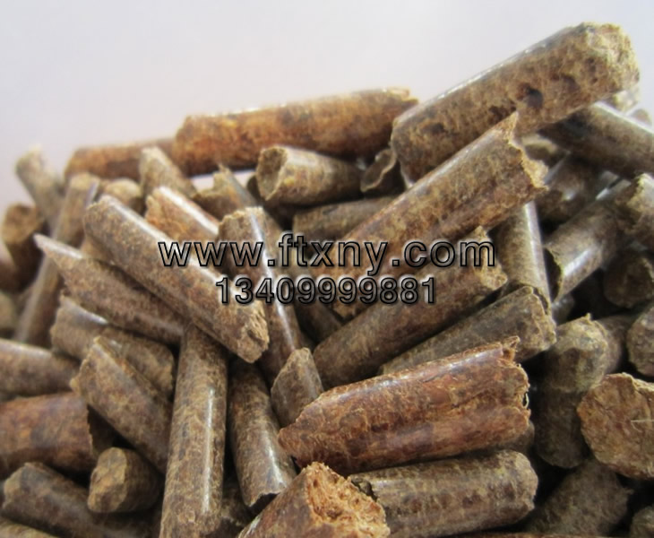 ���������|�w��ȼ��1