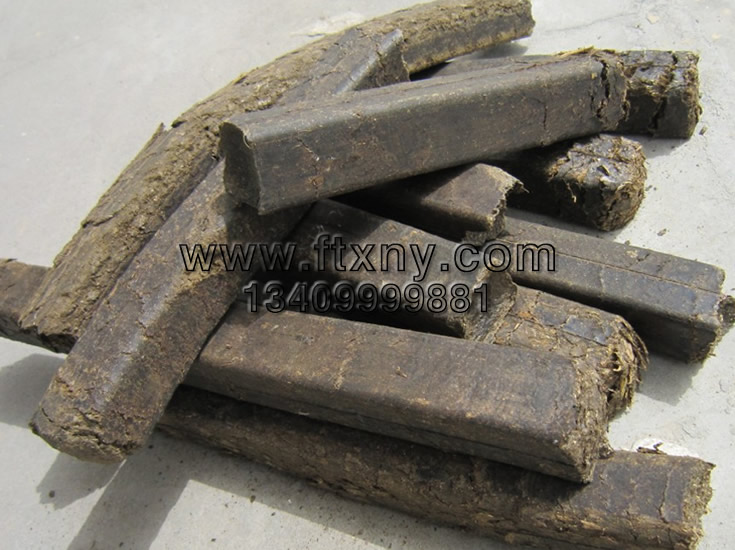 ���׽ն������|�w��ȼ��1