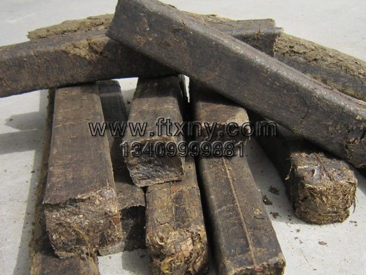 ���׽ն������|�w��ȼ��2