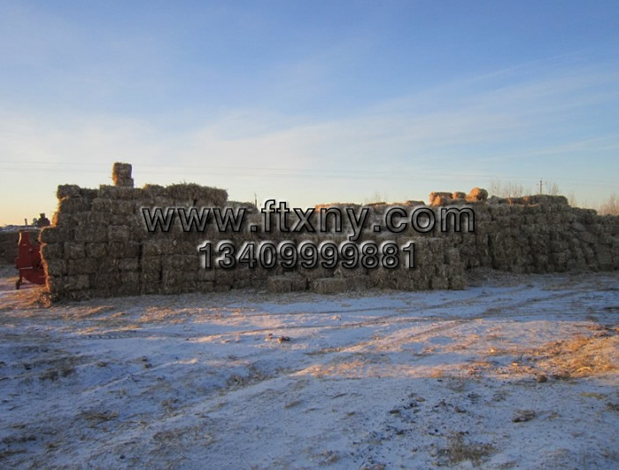 �ն��w���C(j��)���a(ch��n)��