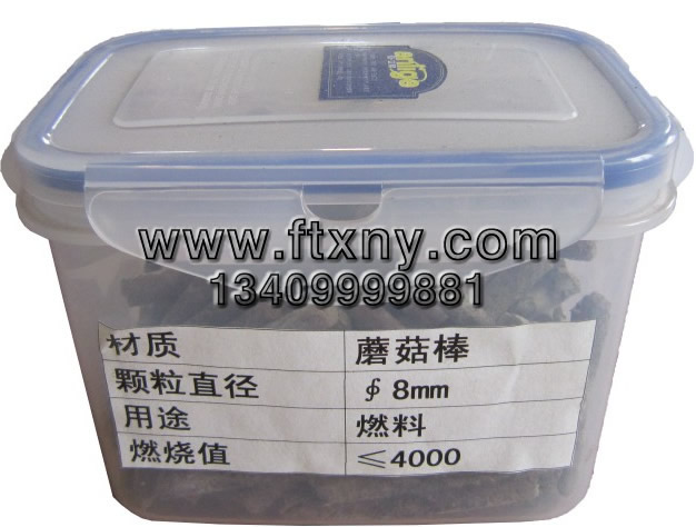 Ģ���������|�w��ȼ��