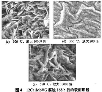生物質鍋爐 生物質鍋爐