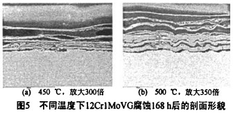 生物質鍋爐 生物質鍋爐
