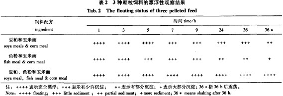 �w���C����w���C