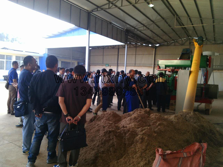 ���U�w���C�͑��F��