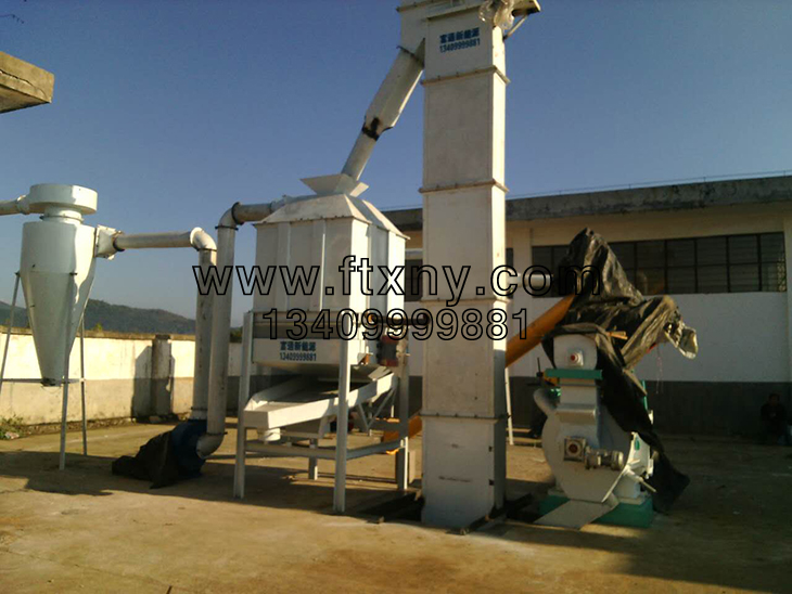 ���U�w���C���a���͑��F��