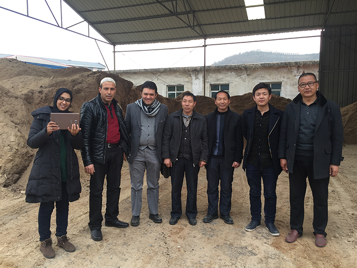 ����ľм�w���C�͑�