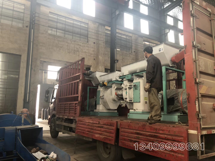 �������w���C