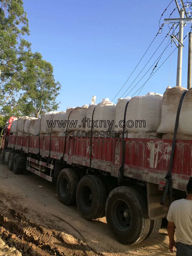 �����|�w��ȼ��