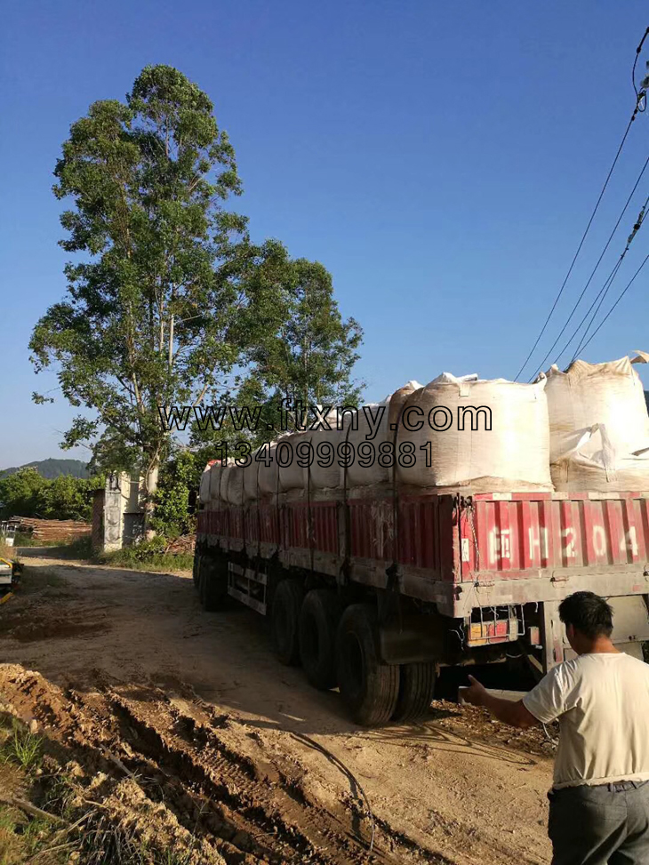 �����|�w���C���Ƶ������|�w��