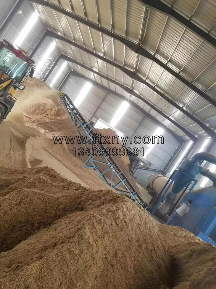 �����|�w���C���Ƶ������|�w��