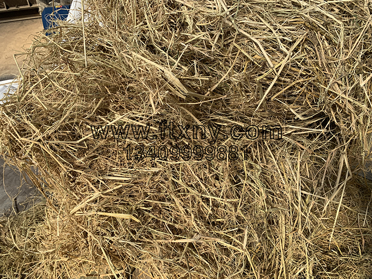 ���݉��K�C