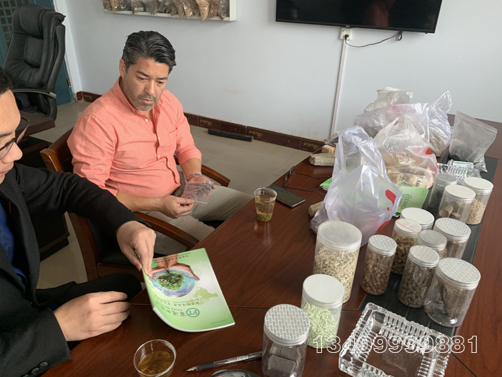 �����|�w���C���a��