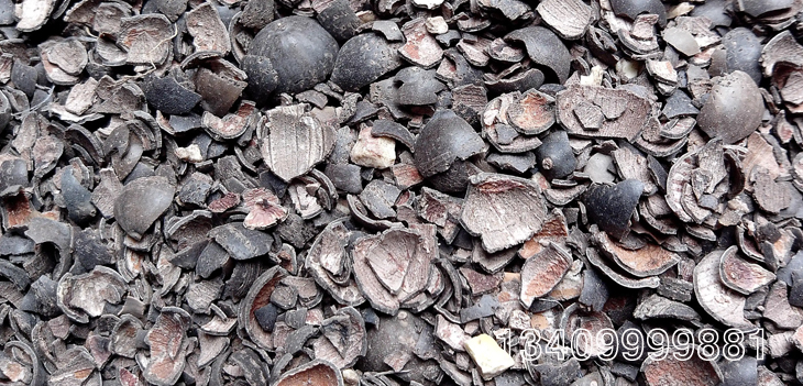 ɏ���⚤�ӹ������|�w��ȼ��