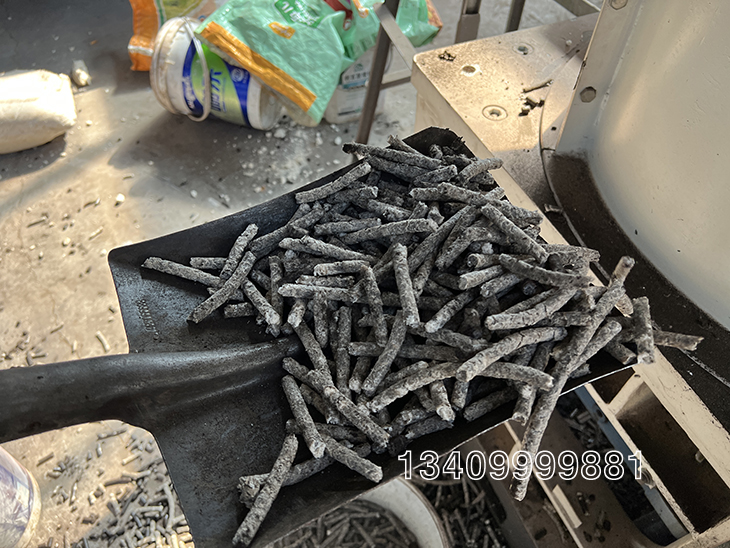 ���d�݉A���^�w���C�����w��