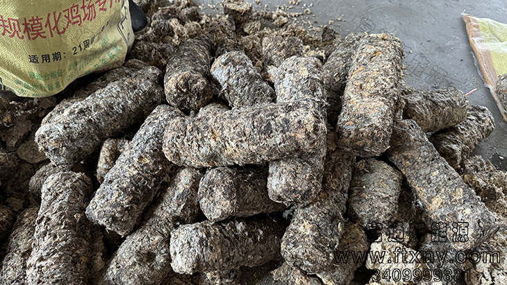 �U���ľ�����ԭ��