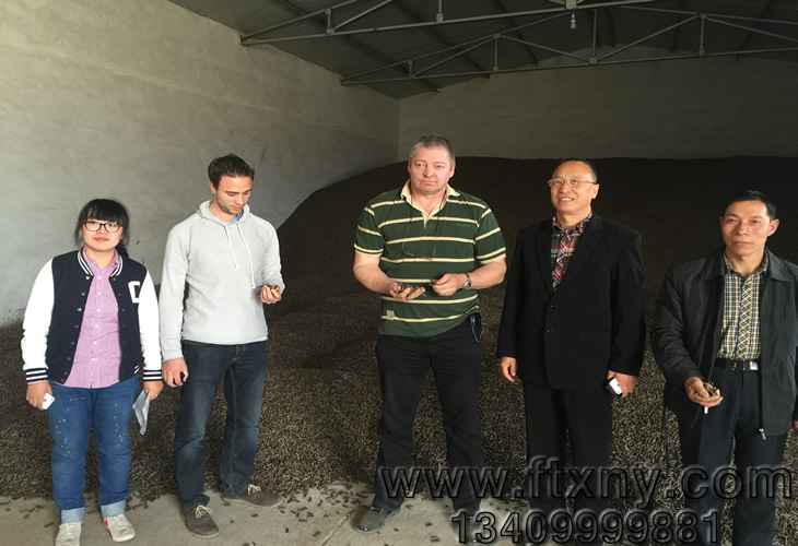 �����rľм�w���C�͑��������a��