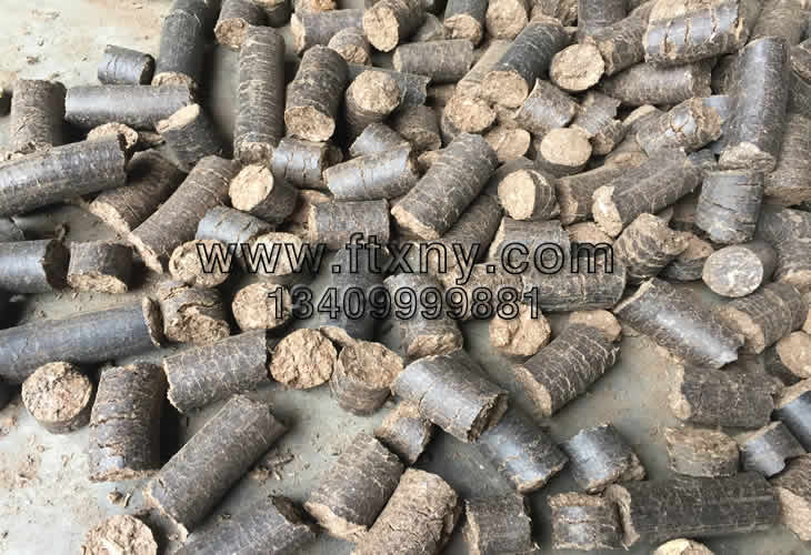 ���Ƥ�w��ȼ��