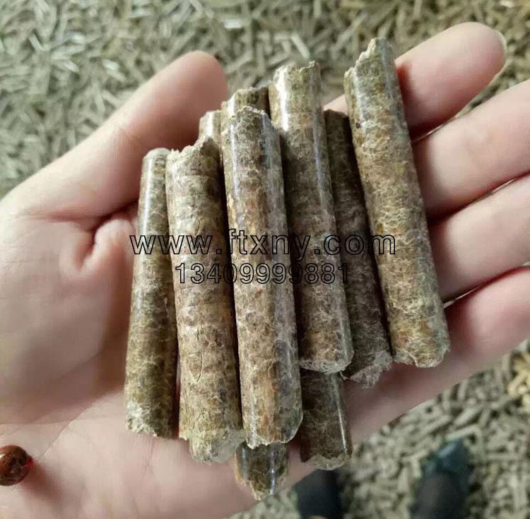 �ĩ�����|�w��ȼ��