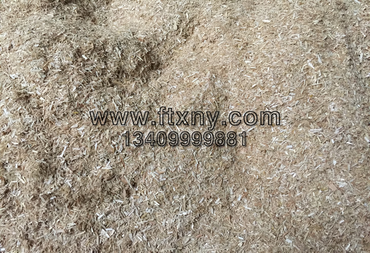 ������С���ն�