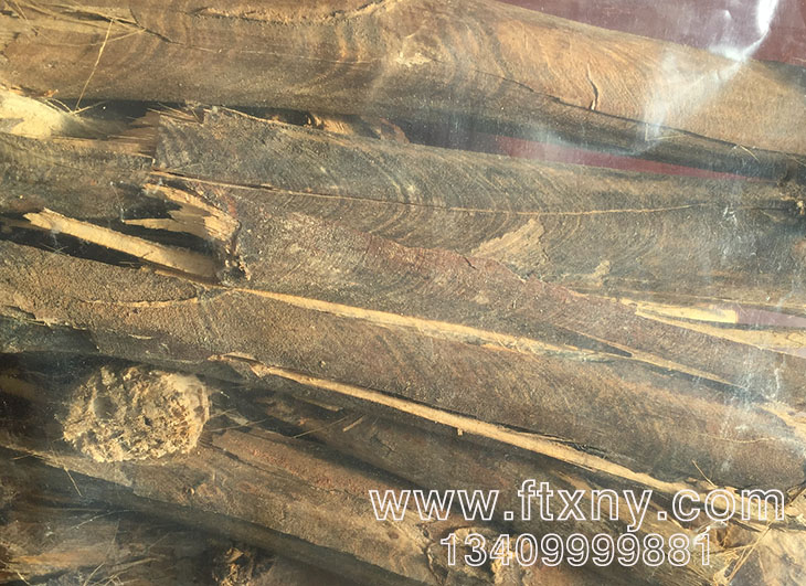 ����ԭ��