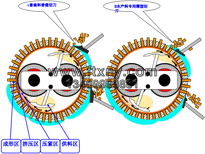 �w���C���s��